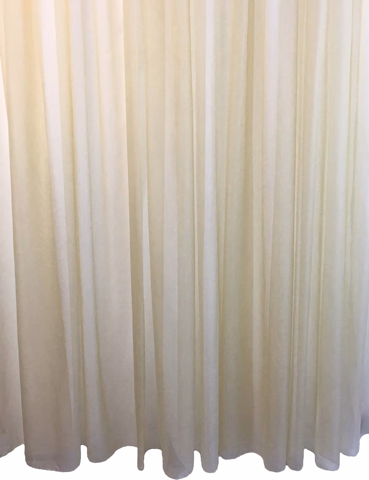 Perdea voal cu rejansa Basic Liz Line, 300x245 cm, poliester, bej